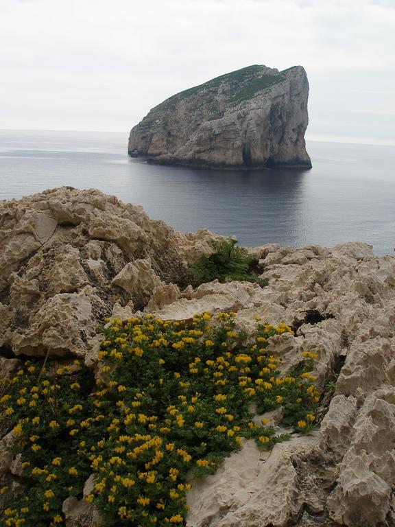 Giramondo Sardegna Affittacamere Альгеро Экстерьер фото
